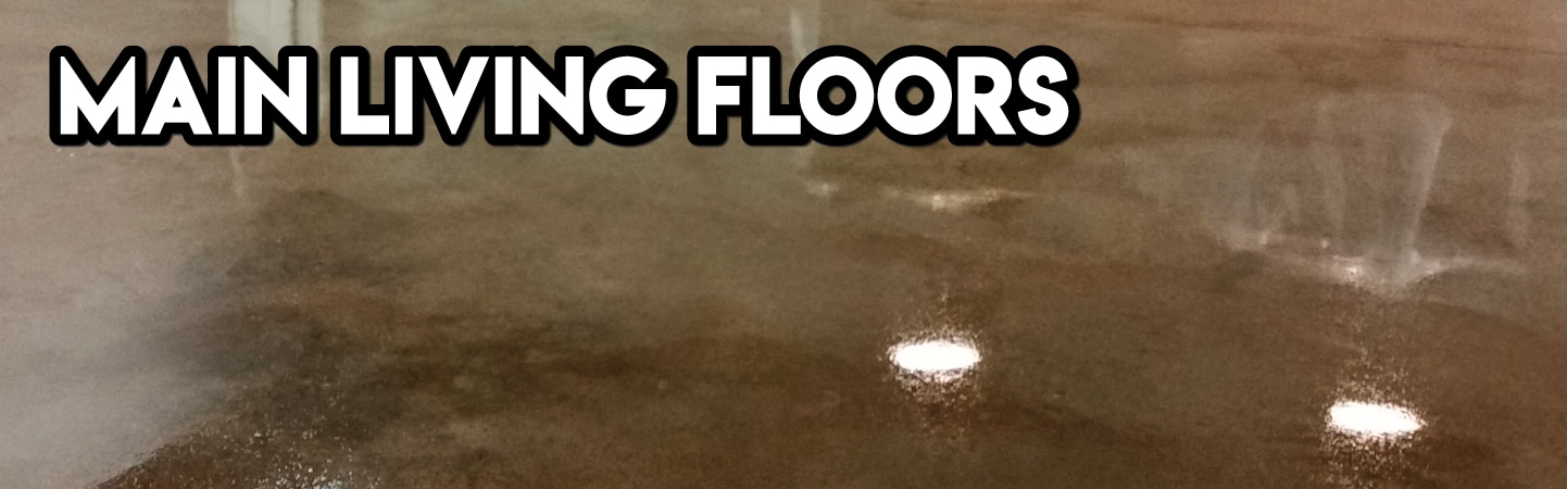 MAIN-LIVING-FLOORS